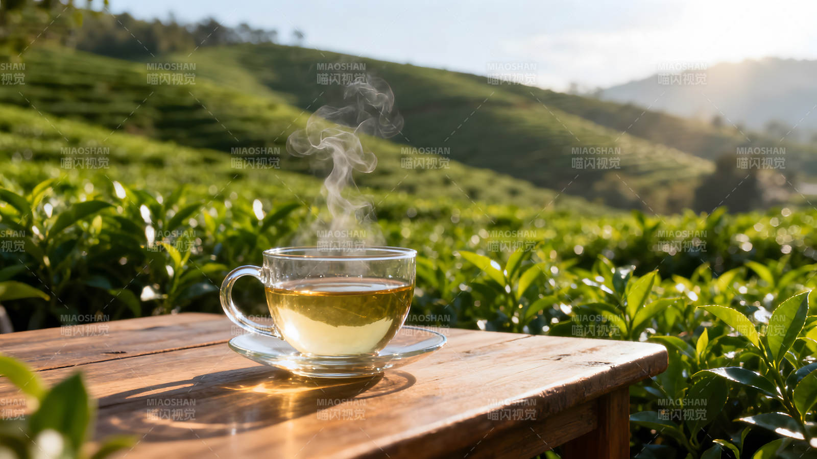 茶杯茶園日光沐浴清新舒暢-圖片