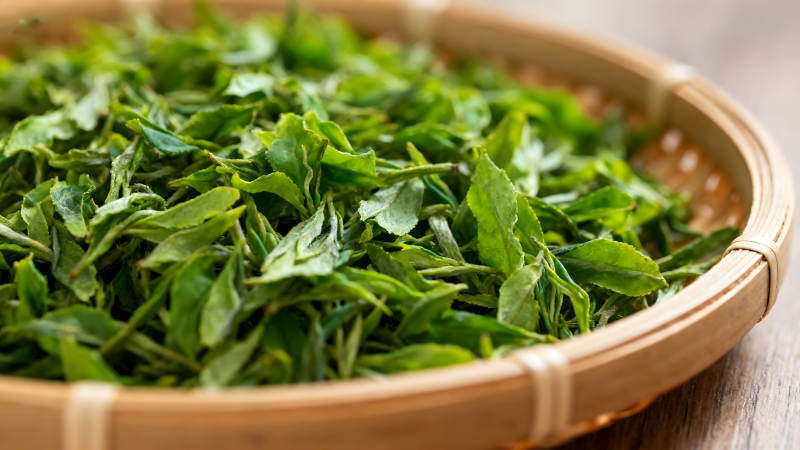 一盤綠茶展示-圖片