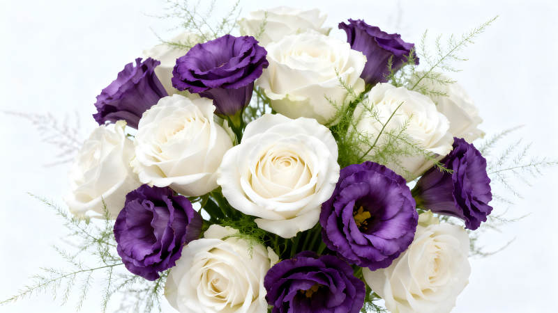 白色玫瑰与紫色花朵的唯美组合-图片