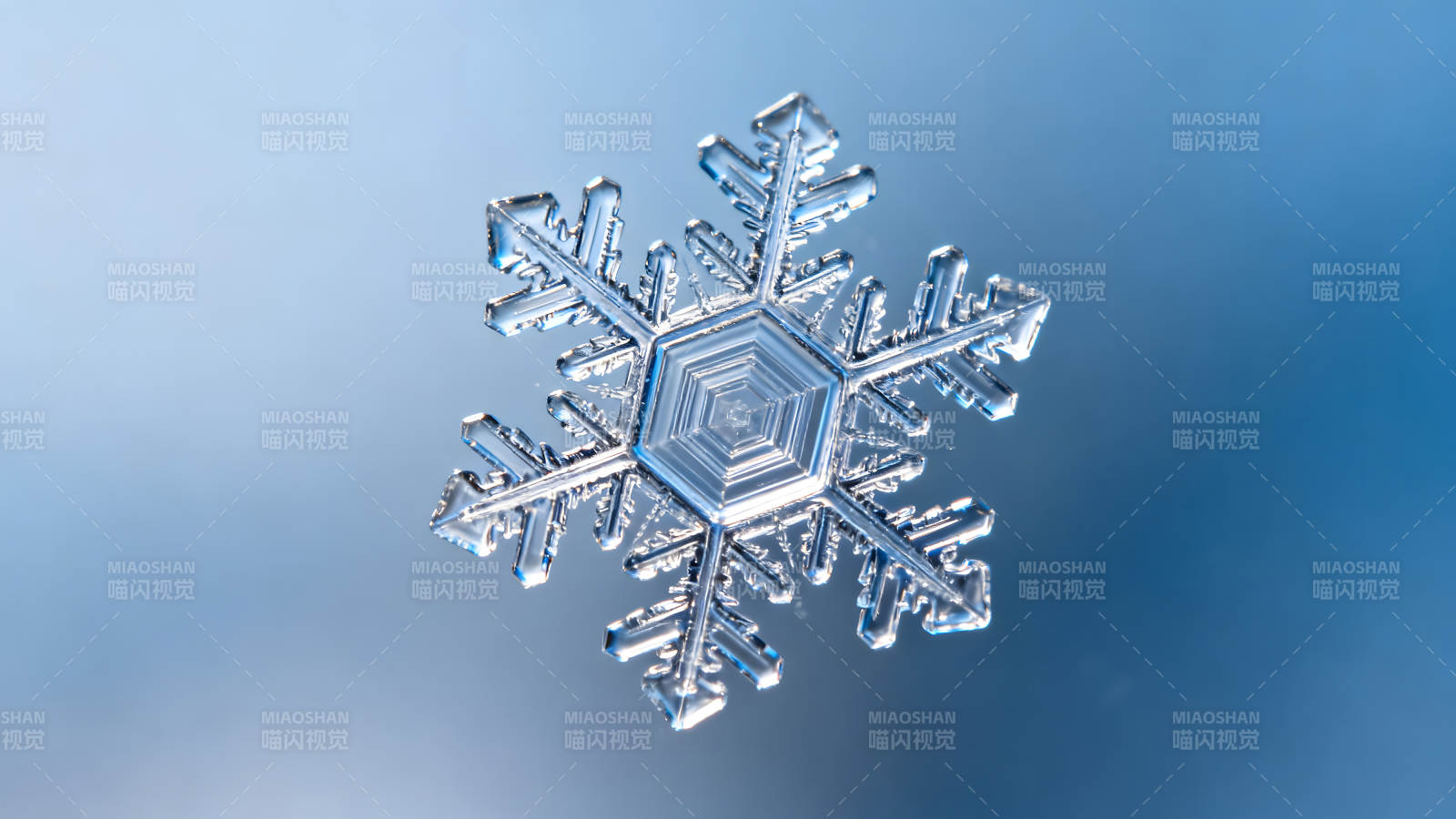 精致的雪花特寫晶瑩剔透-圖片