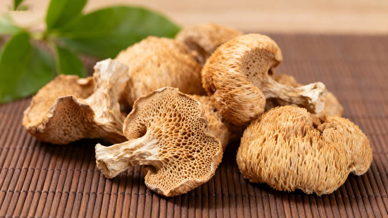 干猴頭菇特寫堆放在木質(zhì)桌面上-圖片