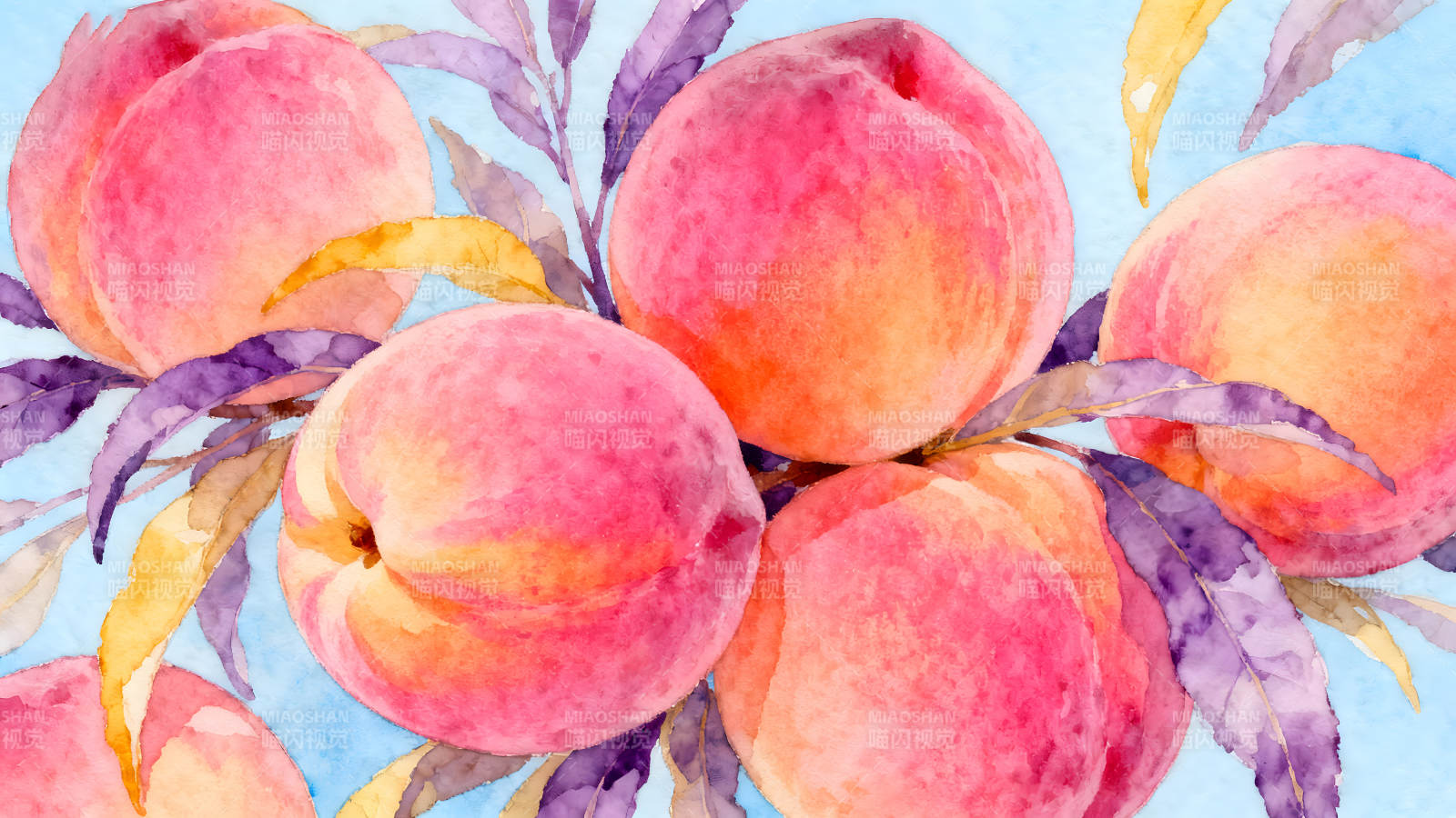 水彩画风的粉色水蜜桃-图片