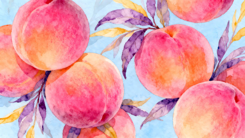 水彩桃子背景图-图片