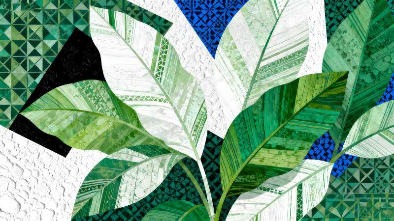 抽象植物藝術作品-圖片