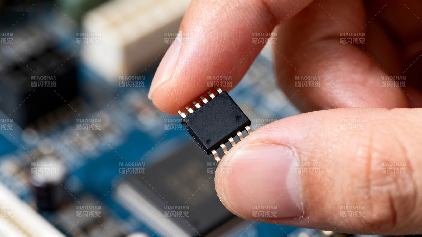 手持集成電路芯片特寫圖片