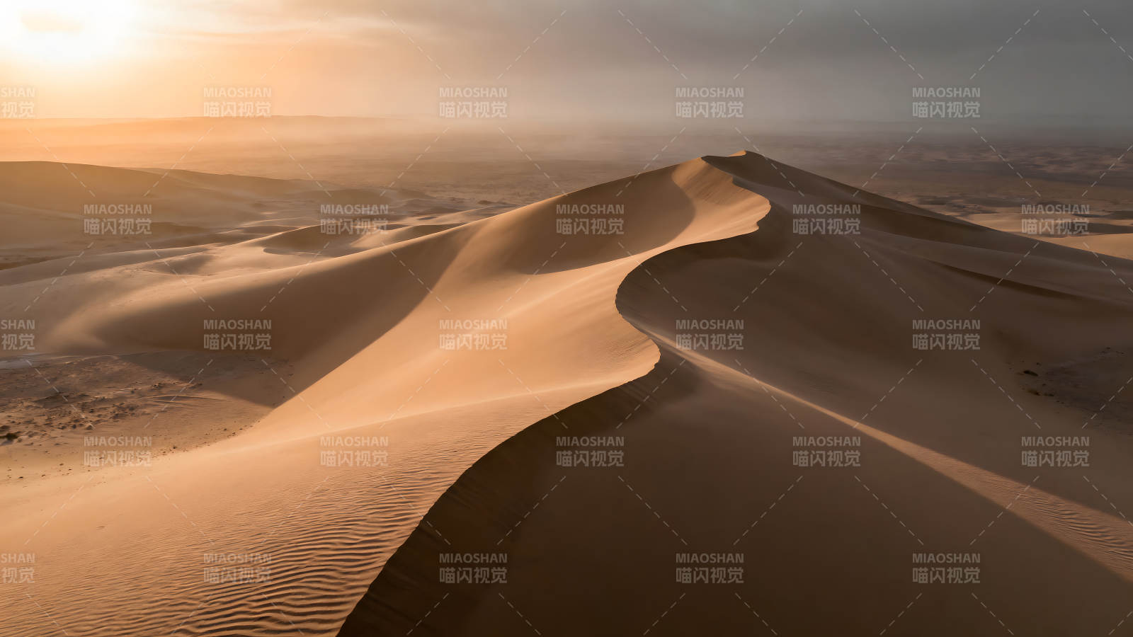 沙漠沙丘在阳光下形成曲线-图片
