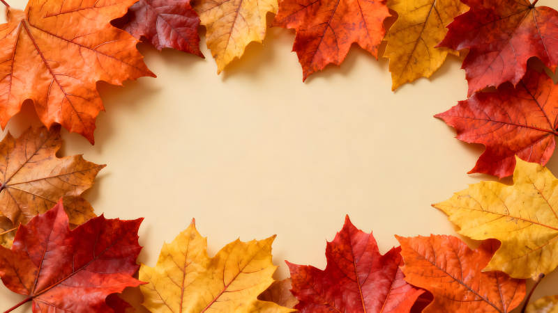 秋叶环绕的背景图案-图片