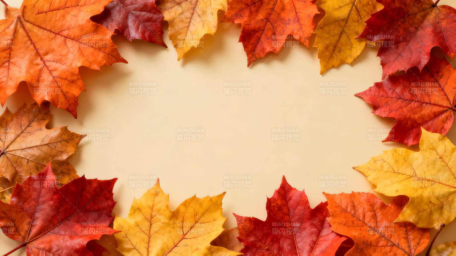 秋葉環繞的背景圖案-圖片