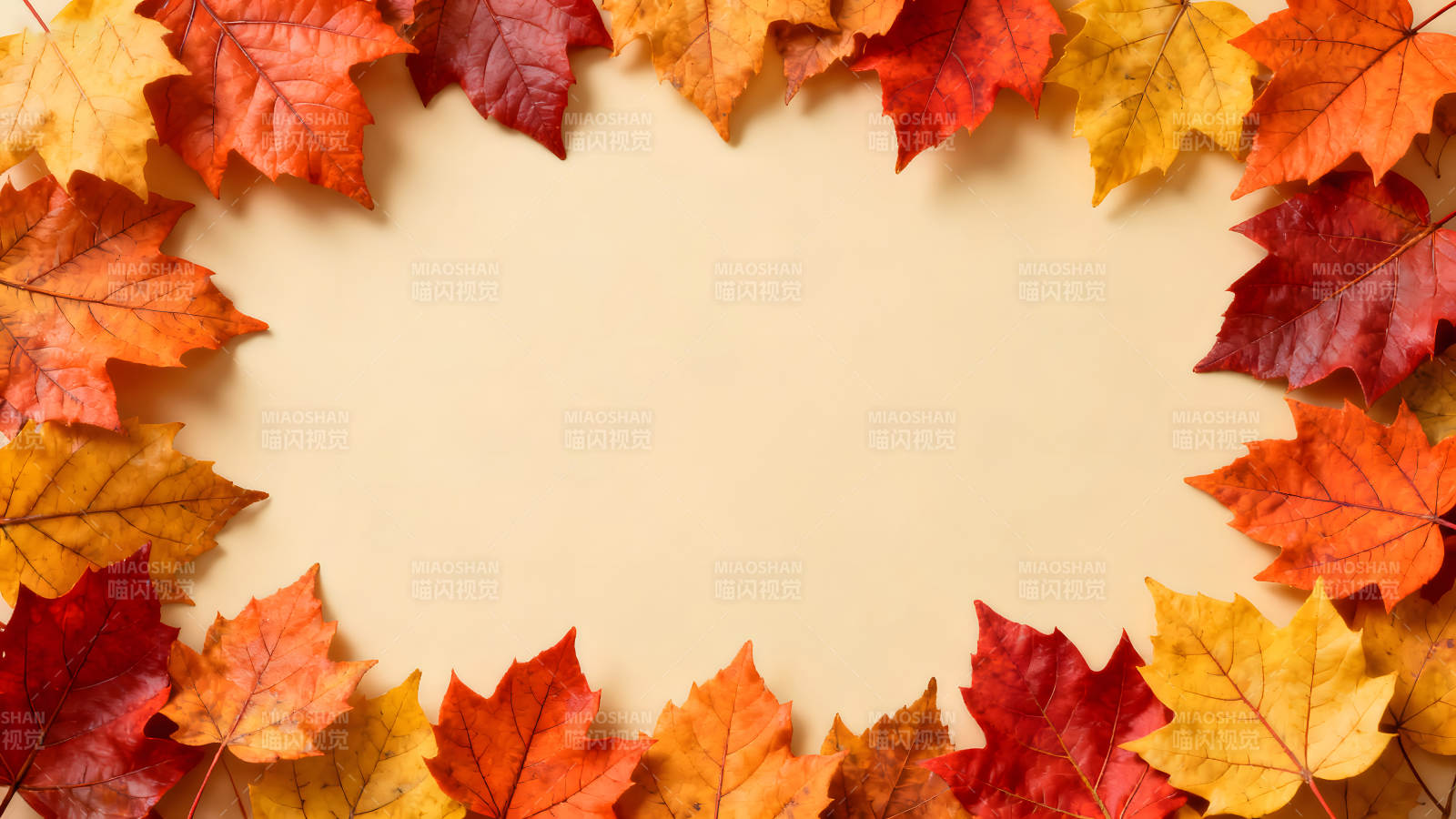 秋葉環繞的背景-圖片