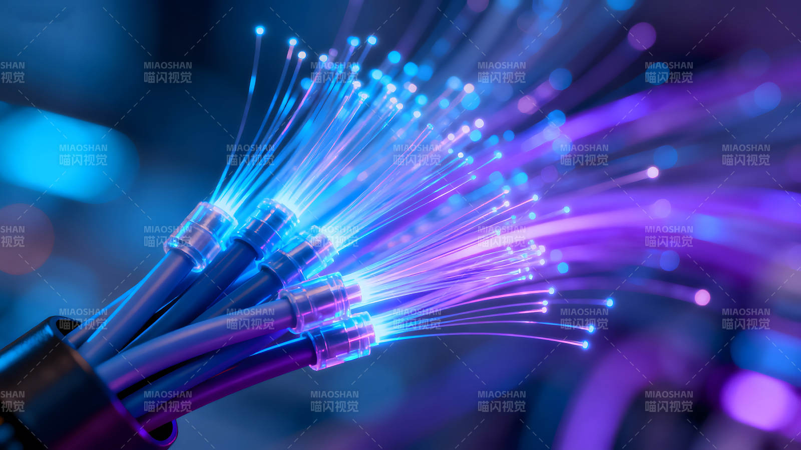 光纤束蓝色和紫色的光线-图片