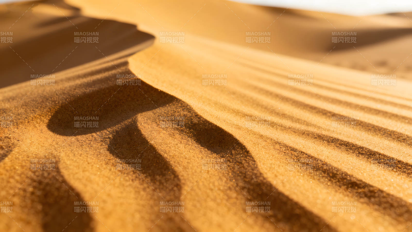 沙丘紋理特寫陽光照射-圖片