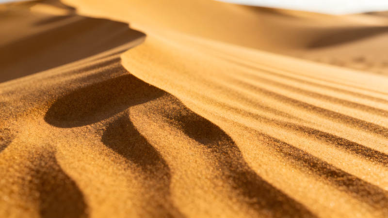沙丘紋理特寫陽光照射-圖片