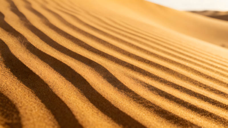 沙丘紋理陽光照射下的沙丘-圖片