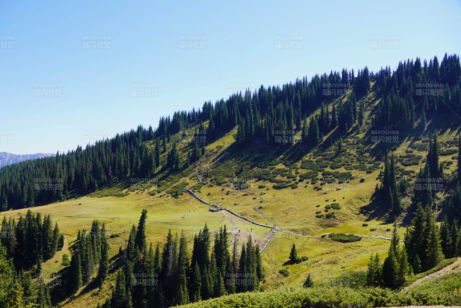 青山綠谷風光圖片