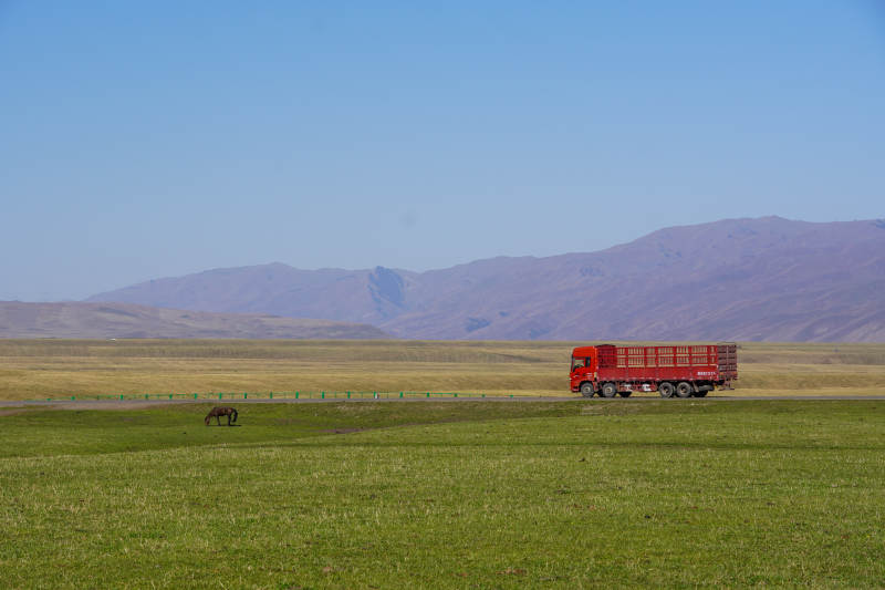 草原上的紅色卡車-攝影圖