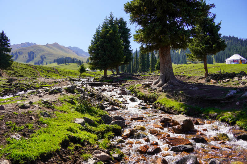山間溪流綠意盎然-攝影圖