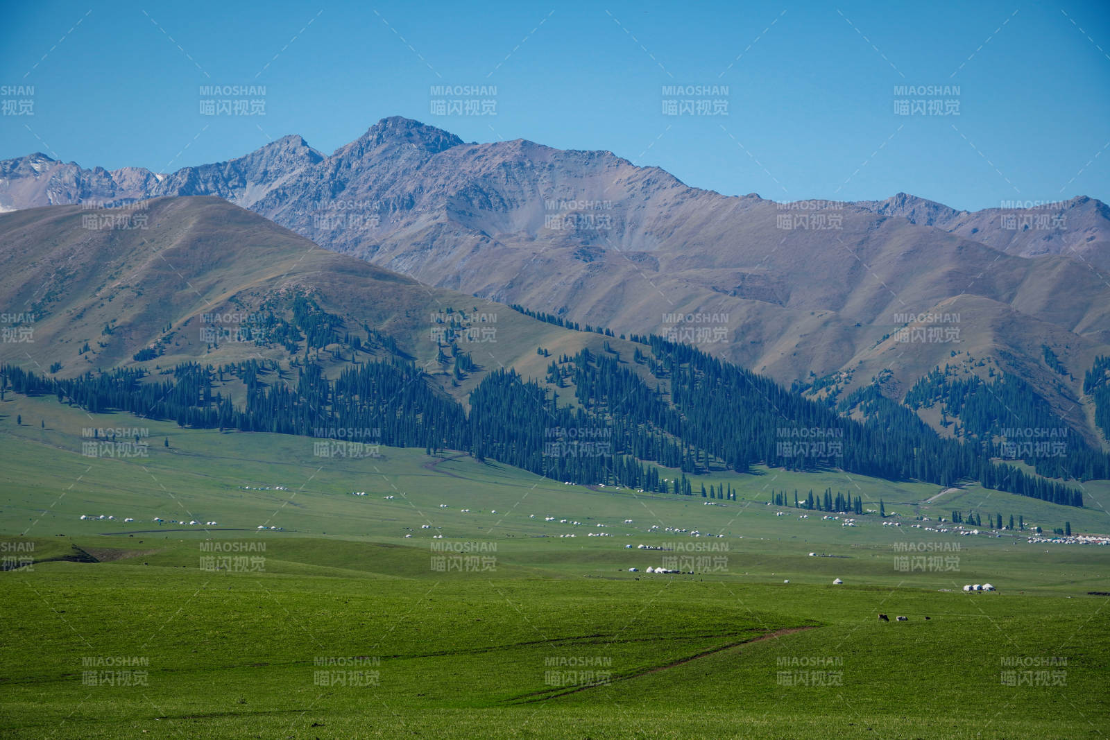 青山綠野風光圖片