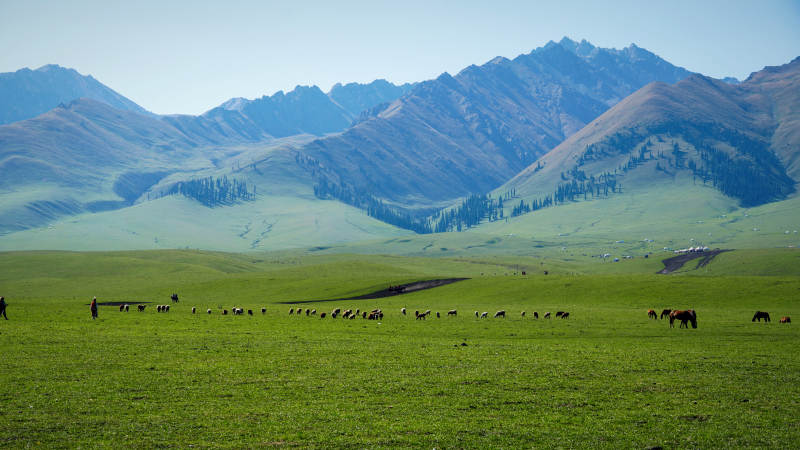 草原牧歌-攝影圖