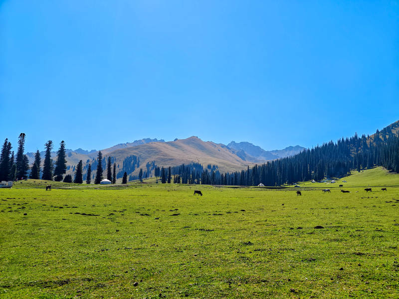草原牧歌-攝影圖