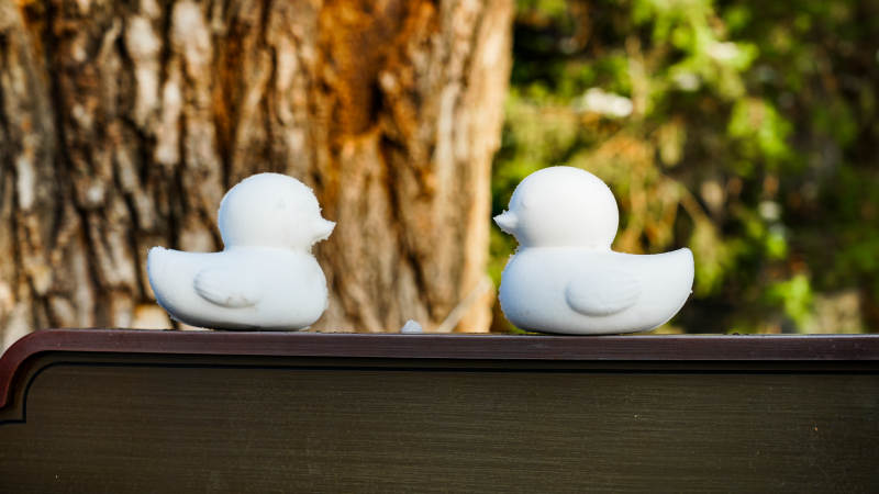 两只白鸭静坐树旁-摄影图