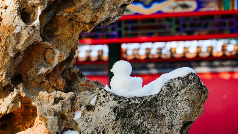 雪中石雕小鸭-摄影图