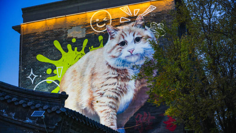 墙上的猫咪涂鸦-摄影图