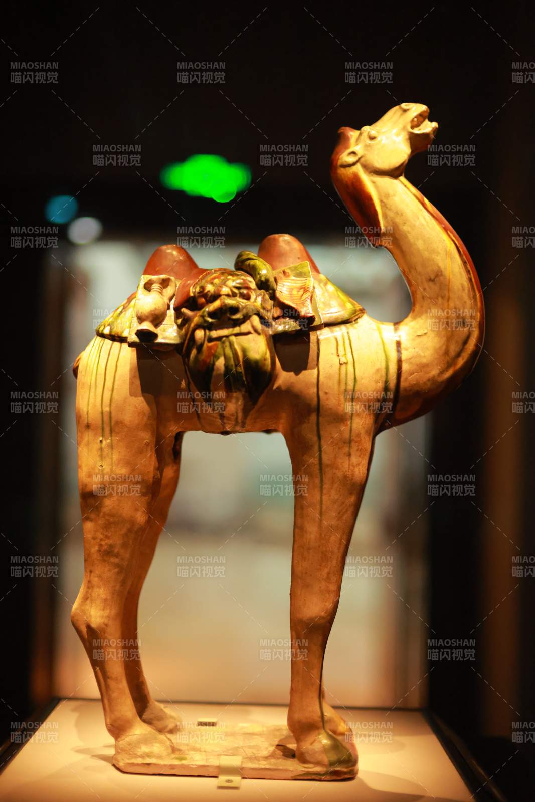 唐三彩骆驼俑图片