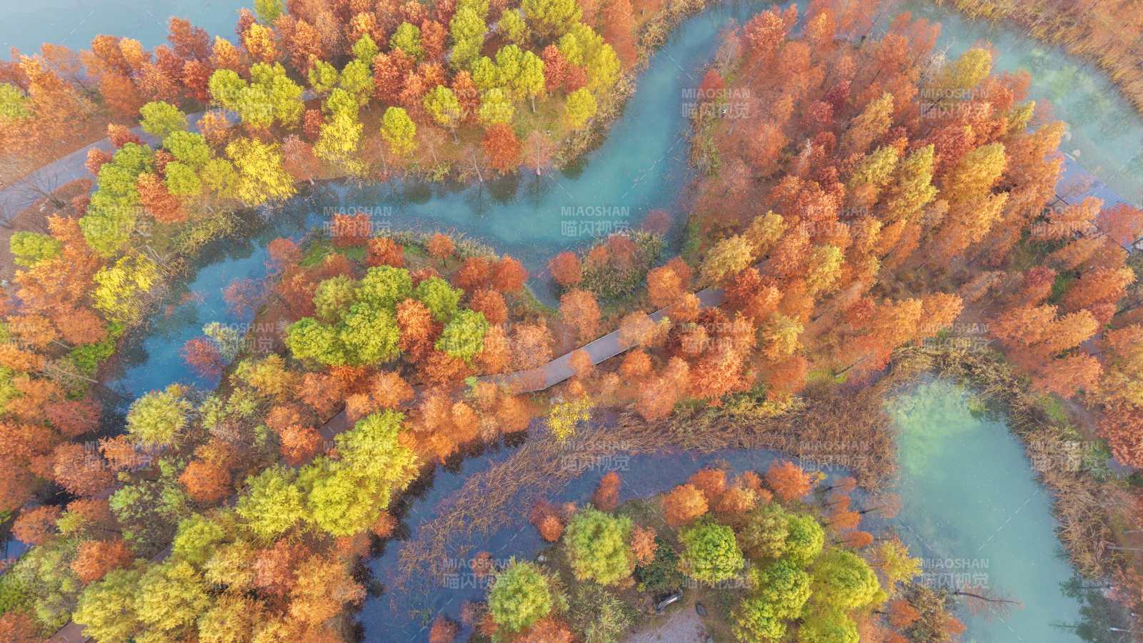 秋林水绕美如画图片