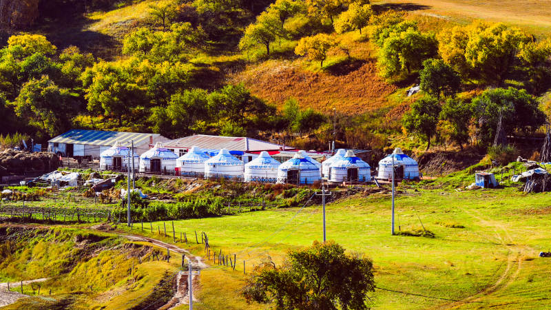 草原上的蒙古包群图片