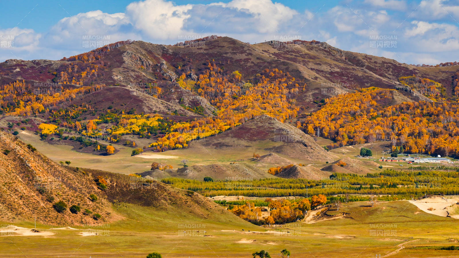 乌兰布统秋山金谷图图片