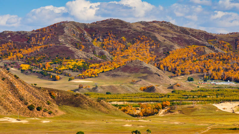 秋山金谷图图片