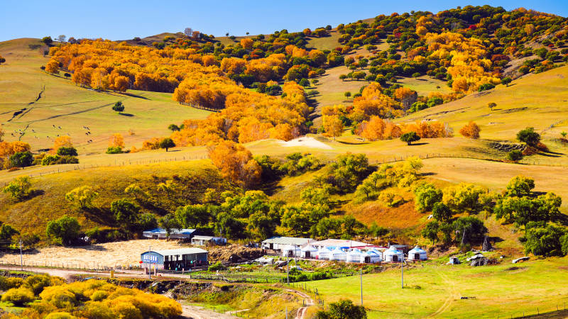 秋日山野风光图片