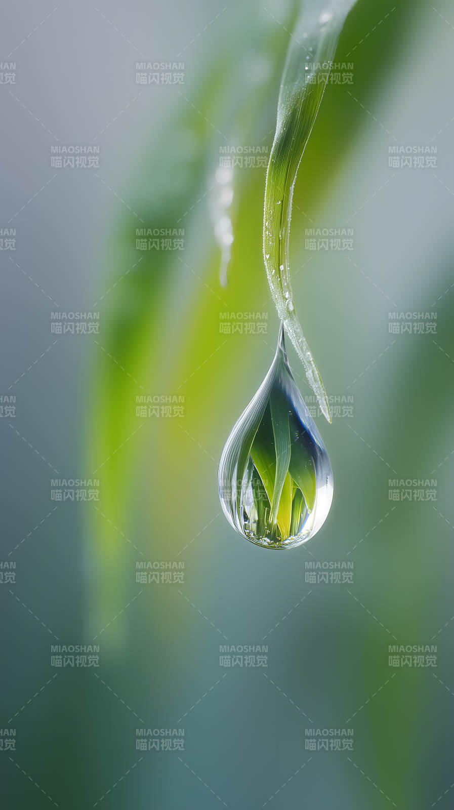 水滴中映照的翠绿植物图片