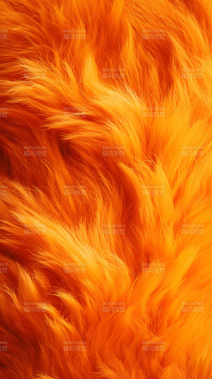 橙色毛发细节特写纹理图片