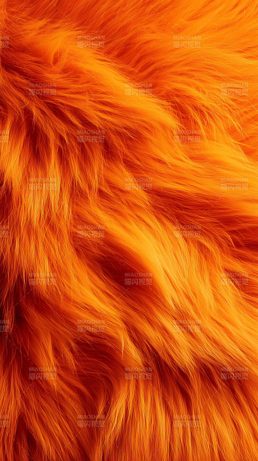 橙色毛发质感特写色彩鲜艳蓬松图片