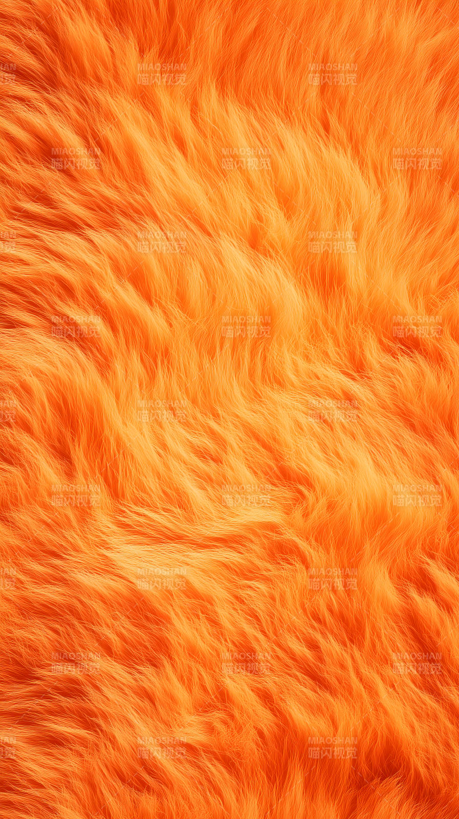橙色毛绒质感细节丰富色彩饱满图片