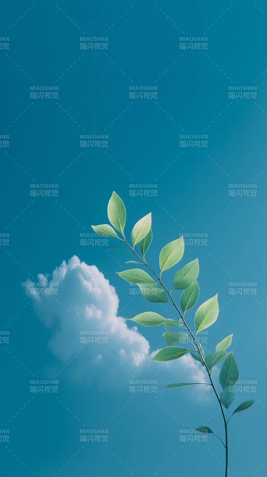 蓝天绿叶清新唯美充满生机图片