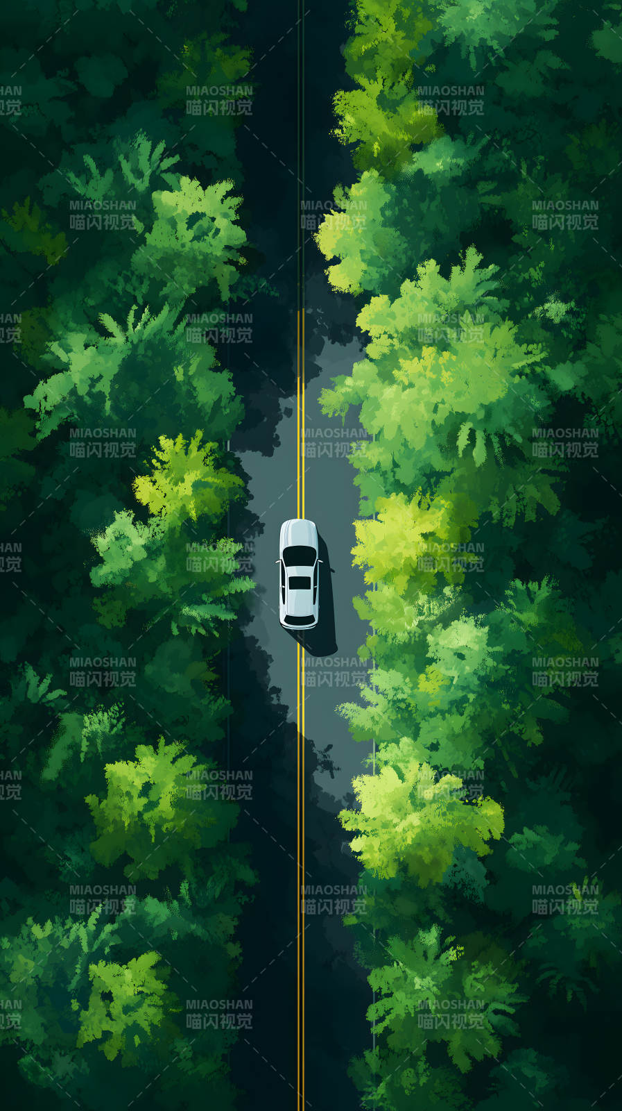 林间公路上的白色汽车图片