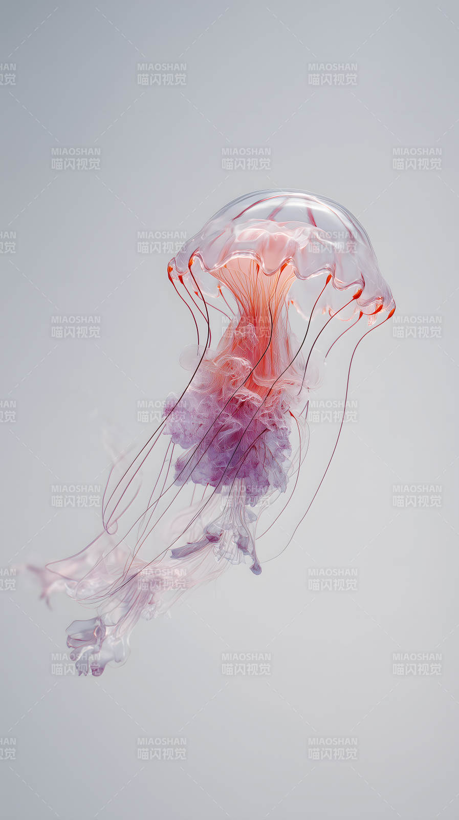 晶莹剔透的深海水母图片