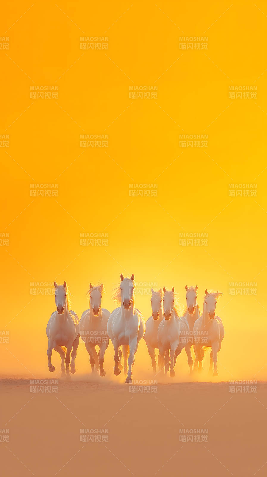 金色夕阳下奔驰的白马图片