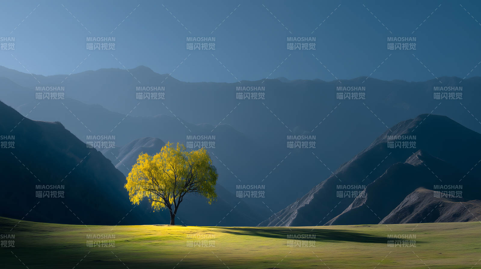 山谷中孤独的黄树图片