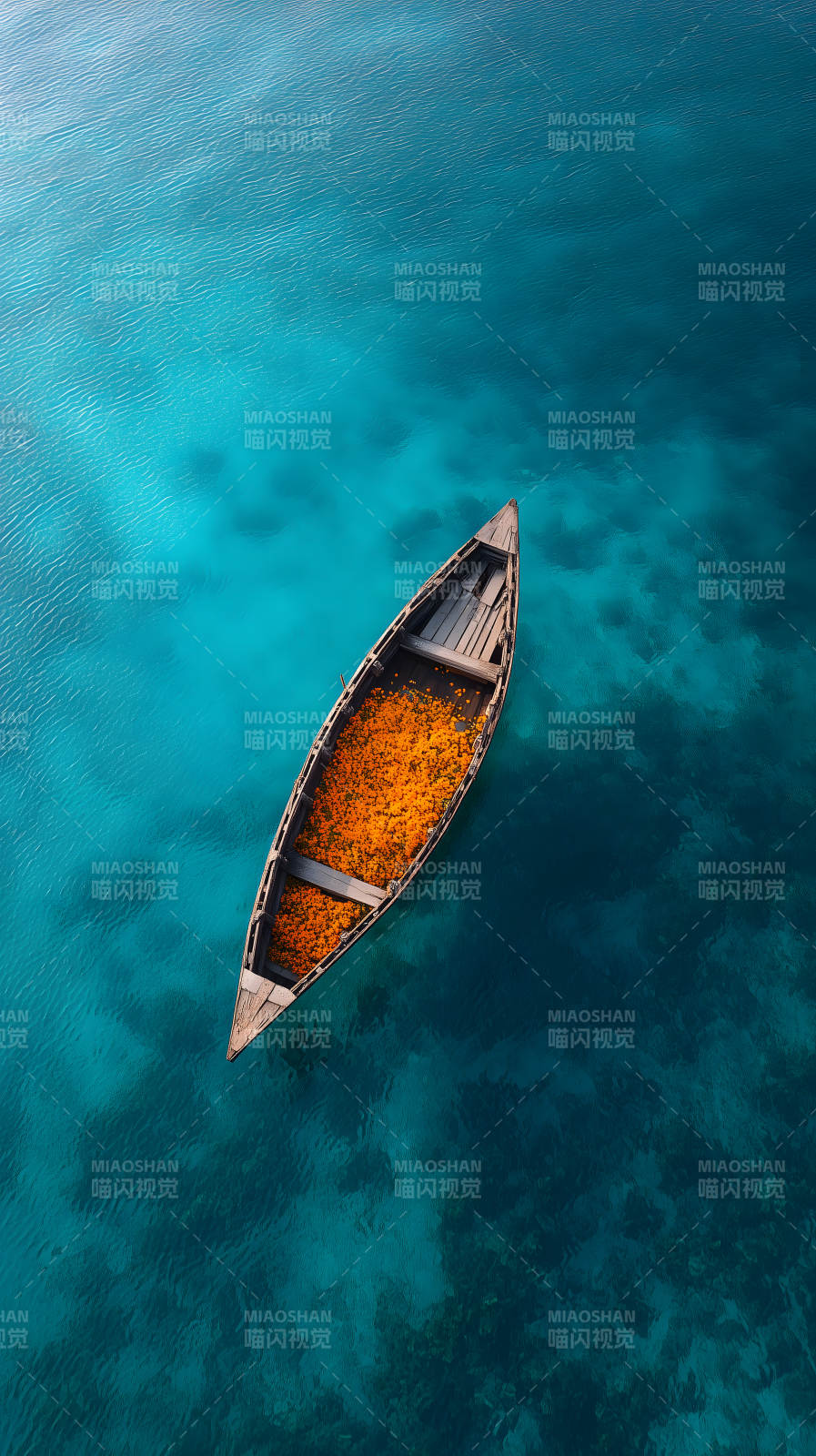 宁静海面上的橙花小舟图片