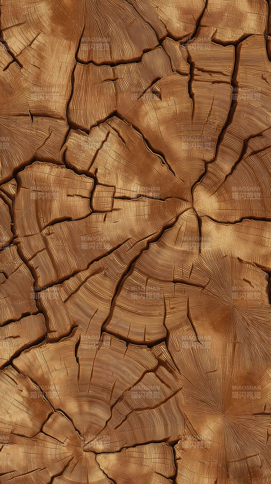 树桩纹理的艺术质感图片