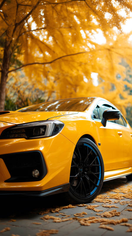 秋叶黄昏下的靓车图片
