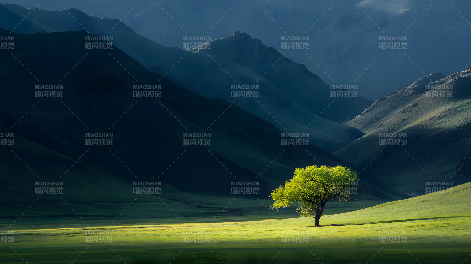 山谷中孤独的绿树图片