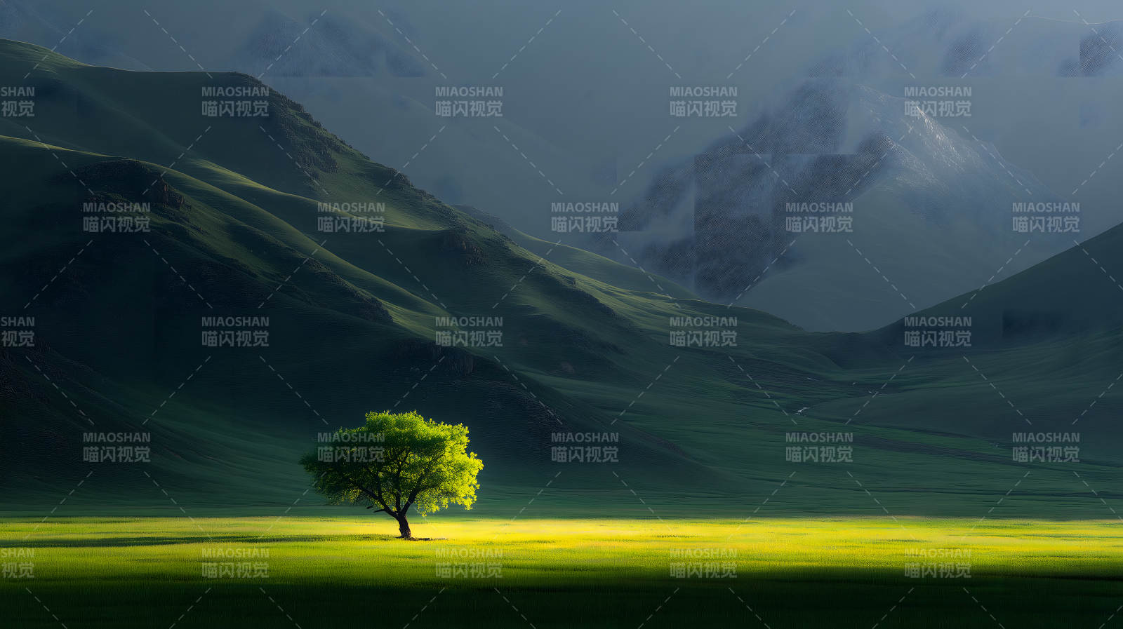 山峦间的孤独绿树图片