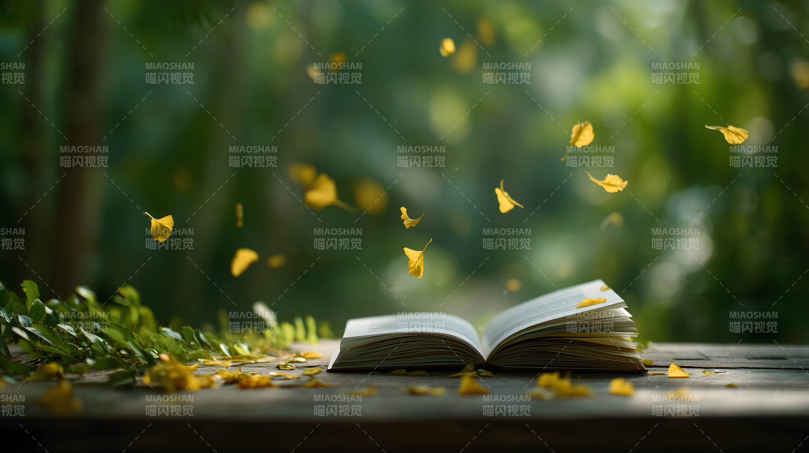 秋叶飘落书页间图片