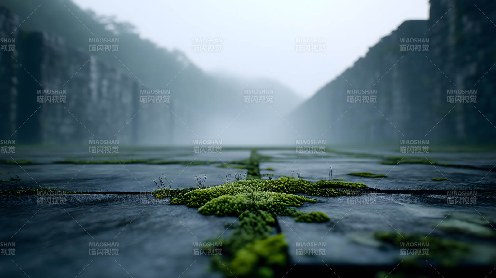 雾中青苔石板路图片