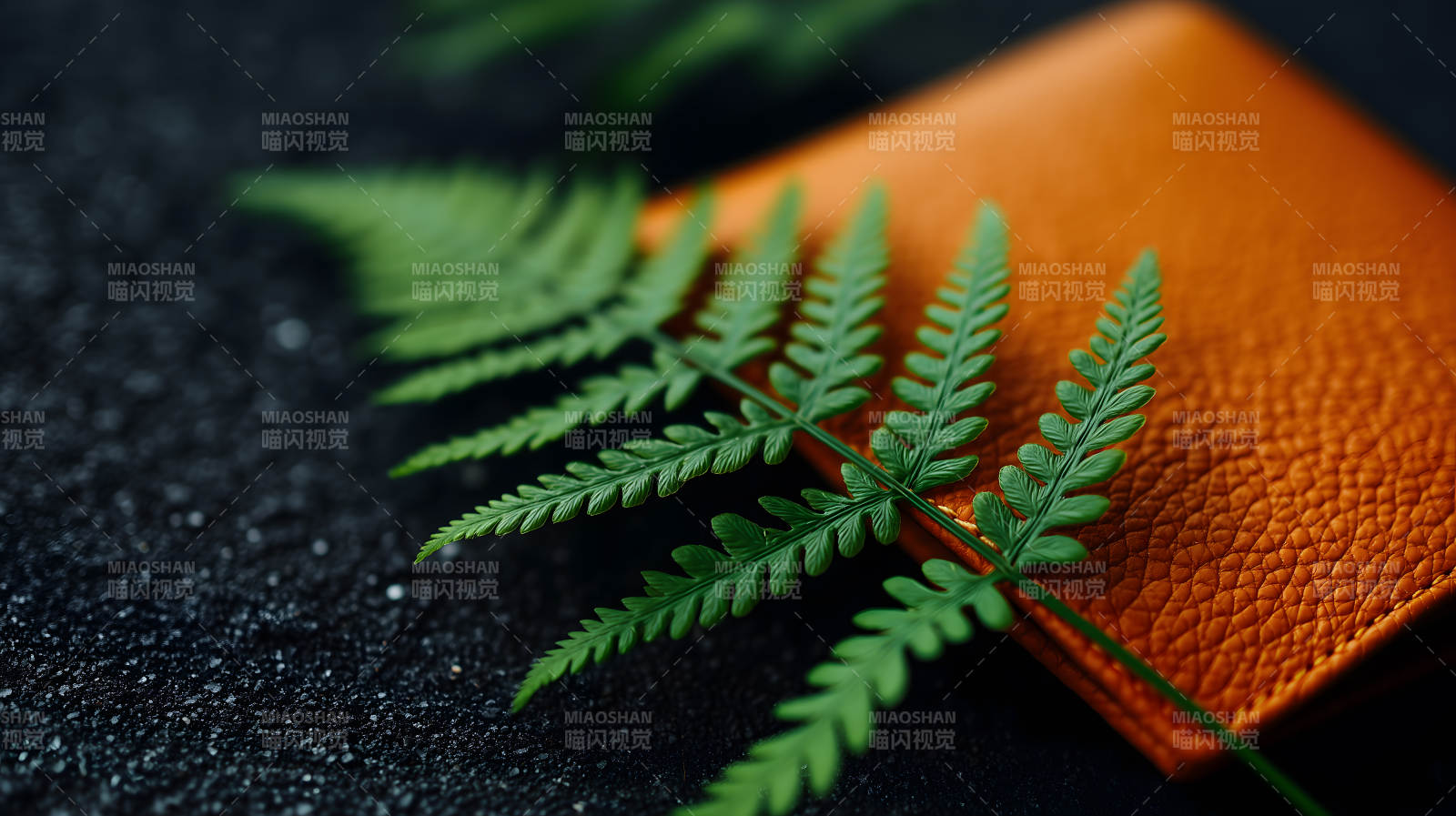 棕褐色皮革与绿叶图片