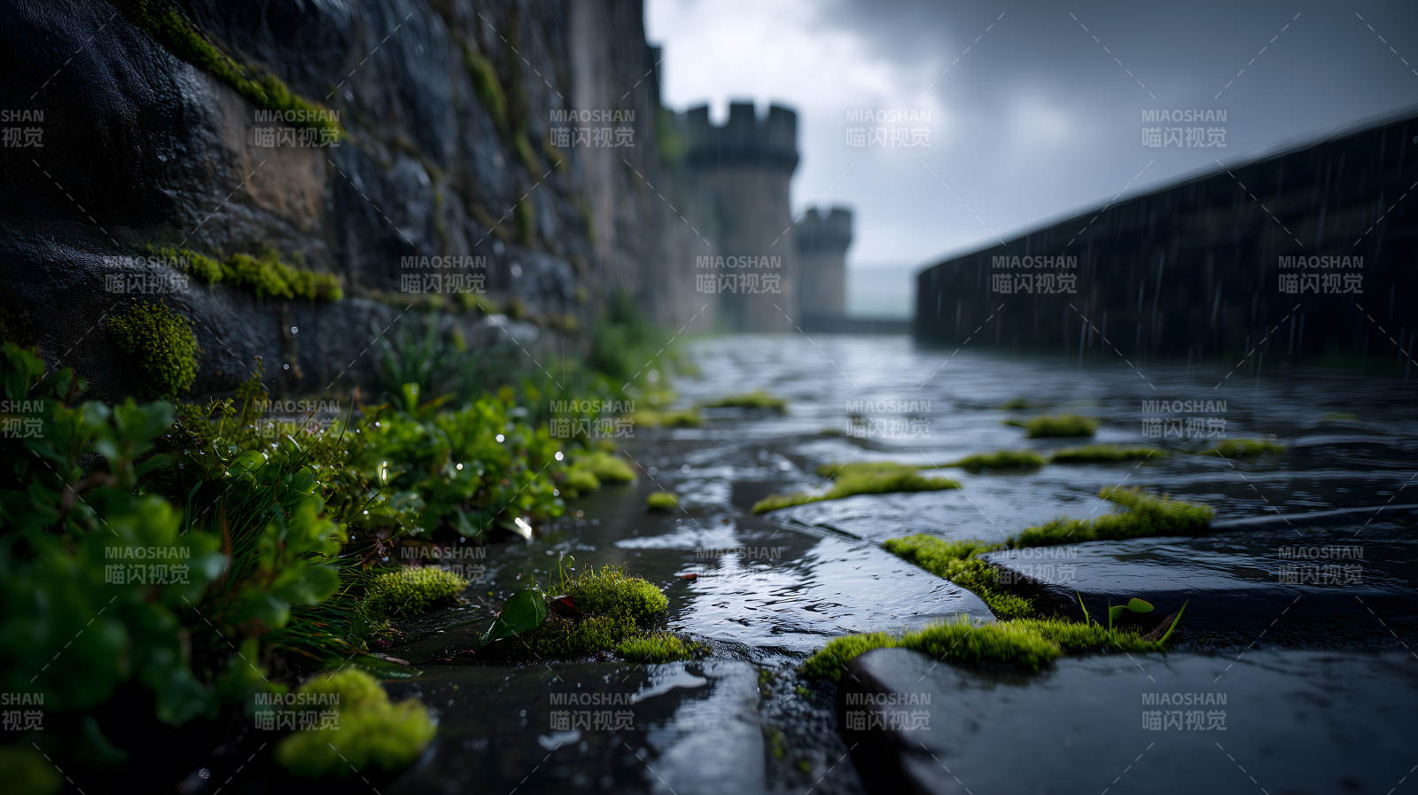 雨中古堡的青苔石路图片